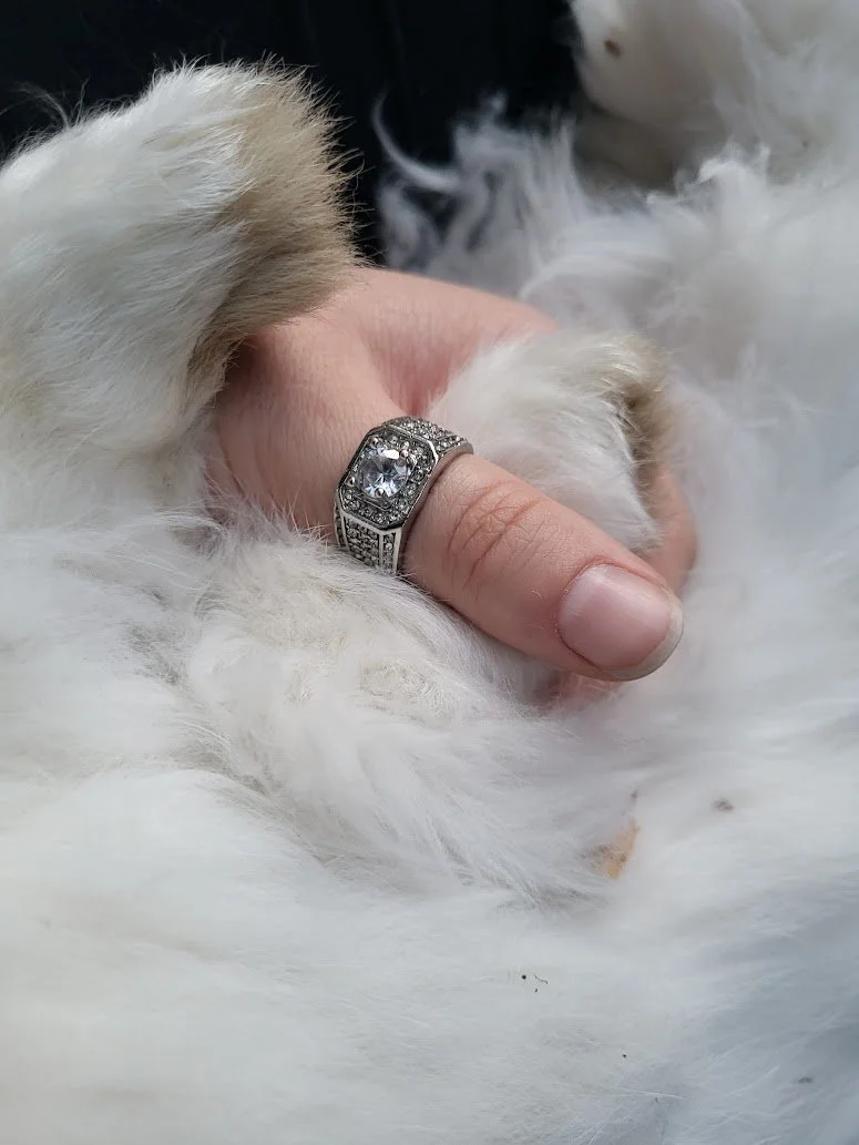 20230811_202757 (1).jpg