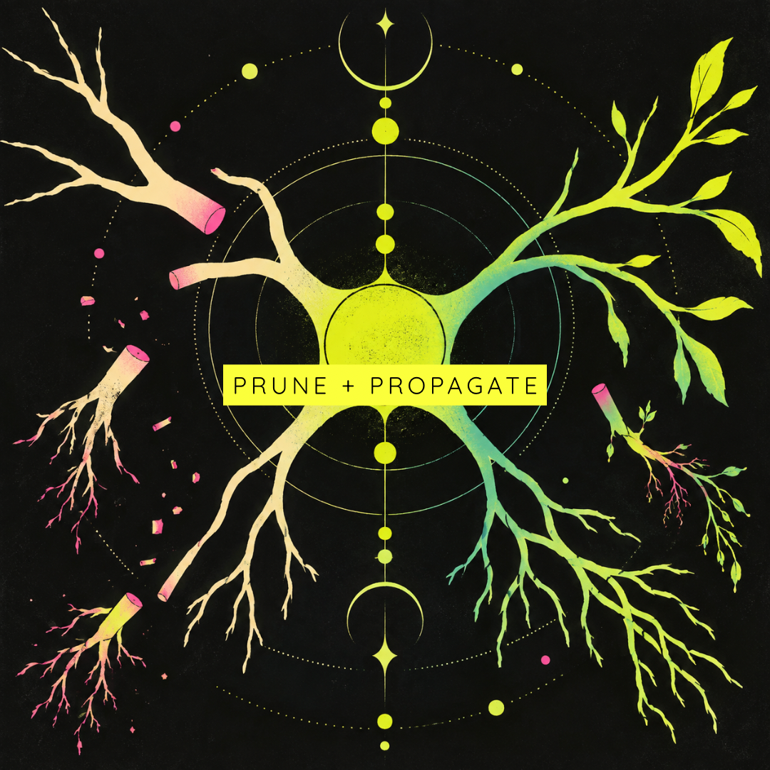 Align Your Orbit #95 - Prune &amp; Propagate