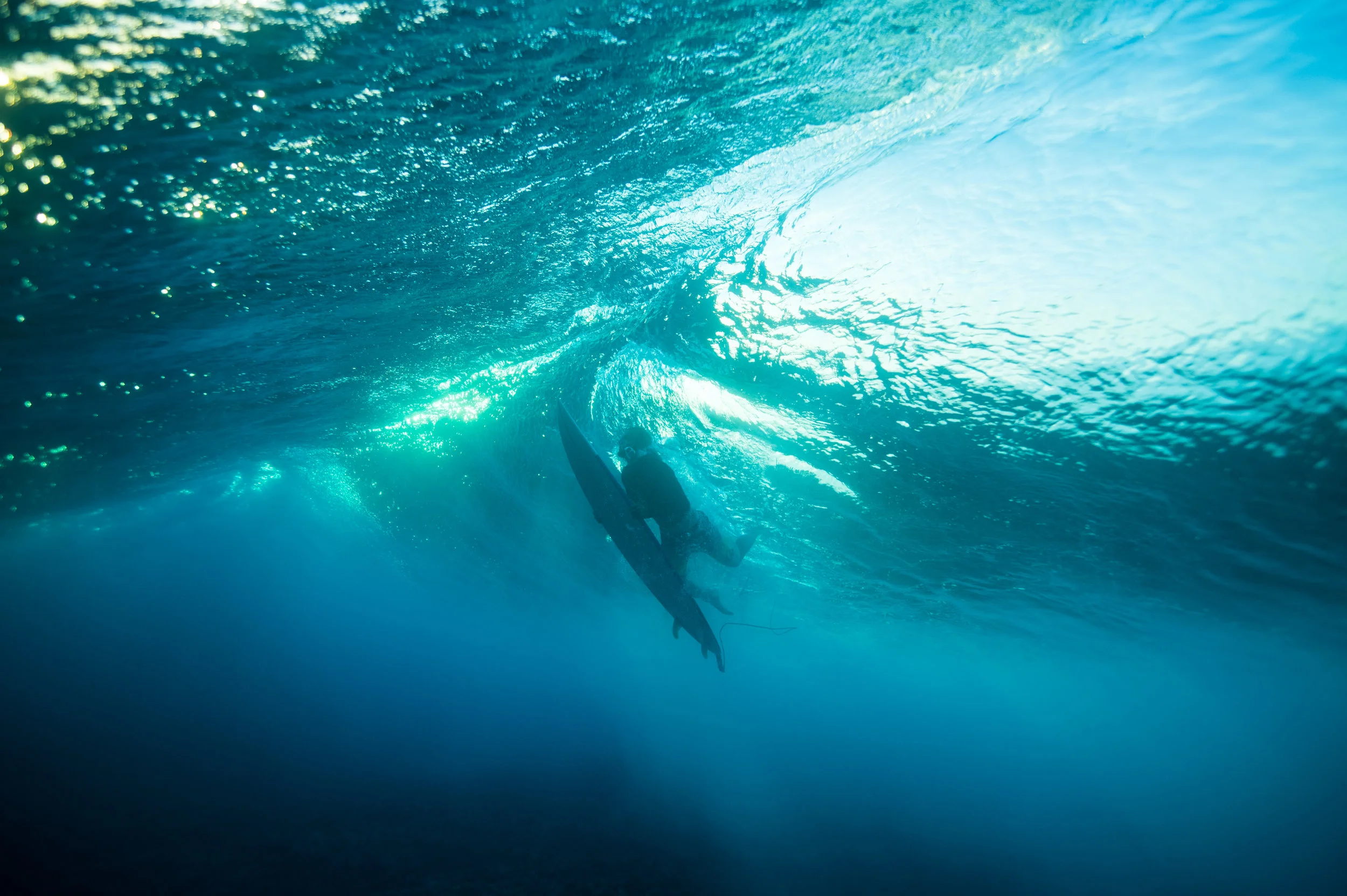 Reasons To Follow a Maui Surf Blog