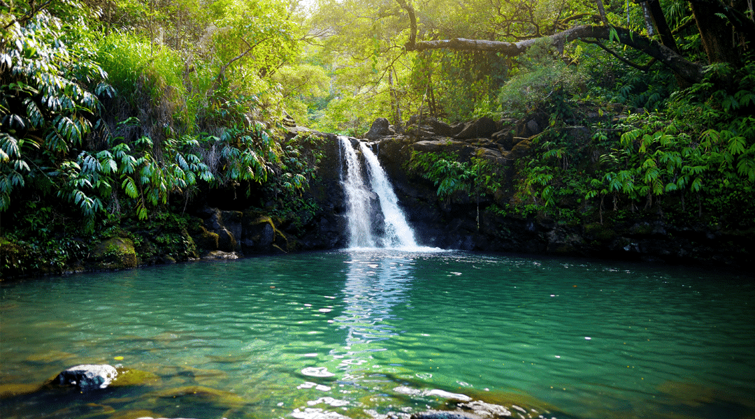 Maui Waterfalls - 9 Essential Items To Bring on Your Trip