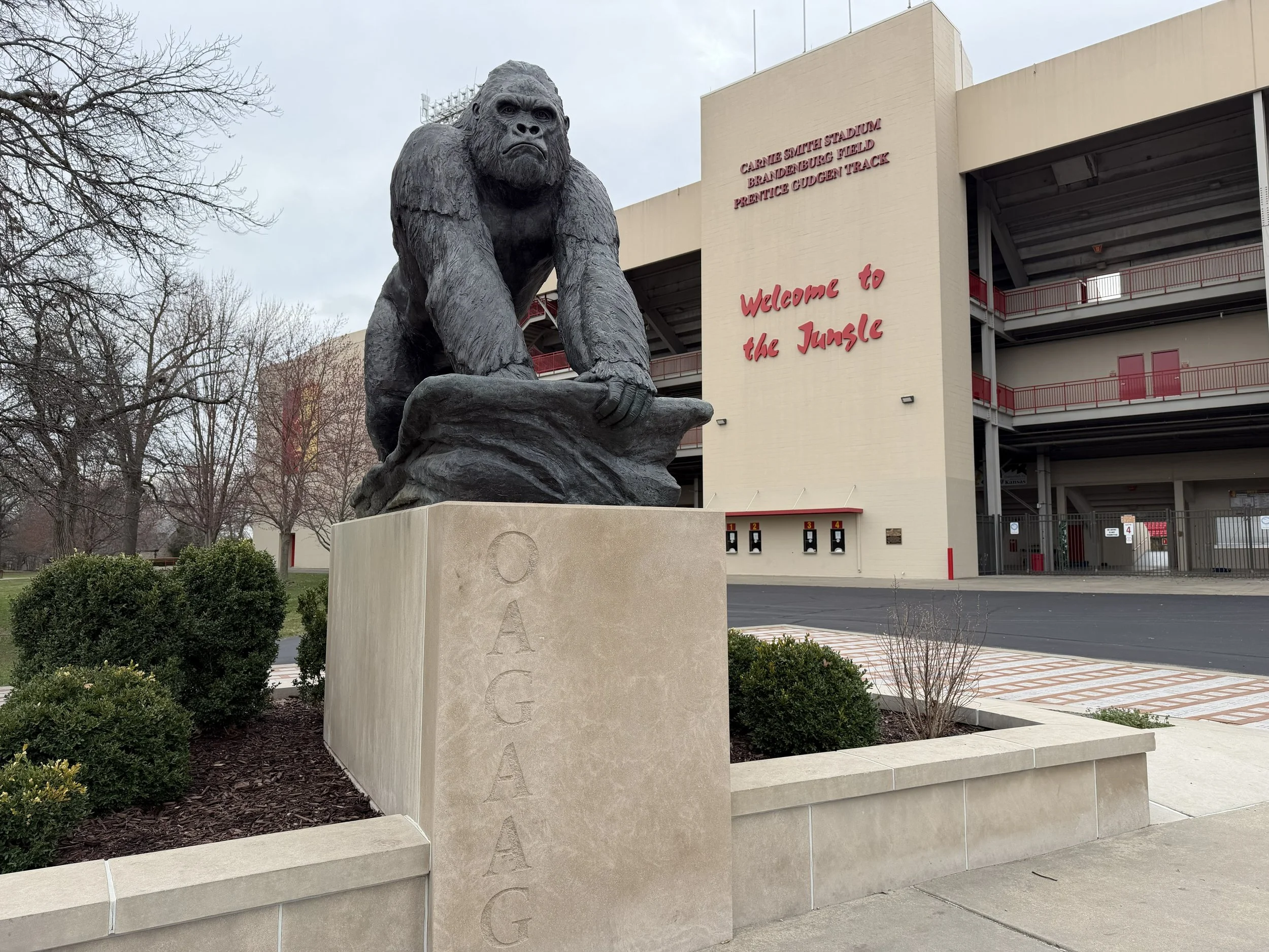 gorilla southeast kansas.jpg