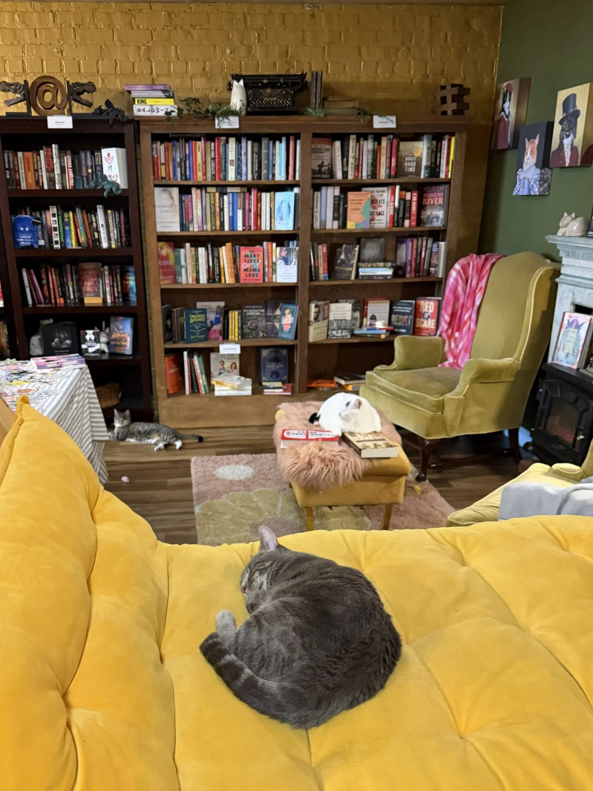 literary+cat+co+southeast+kansas.jpg