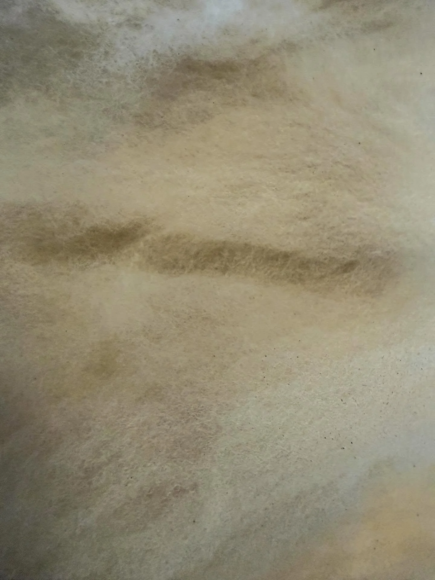 Land as laboratory : Land as Mother 0013T

Summertime of collected, knotted detritus 
Holding thoughts within a delicate flowing process
Fleece unfolding, wrapping and embracing 

#ecology 
#phenomenology 
#practiceledresearch
#artbasedresearch
#arti