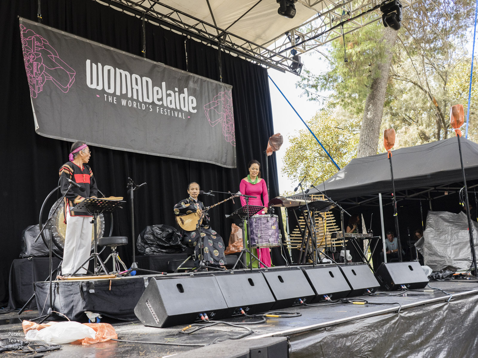 VanAnhVo Trio-WOMAD Adelaide-Ful Stage Shot .jpg