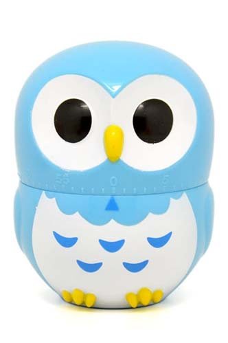 Blue Owl Timer, Mini Size - 60 Minutes 