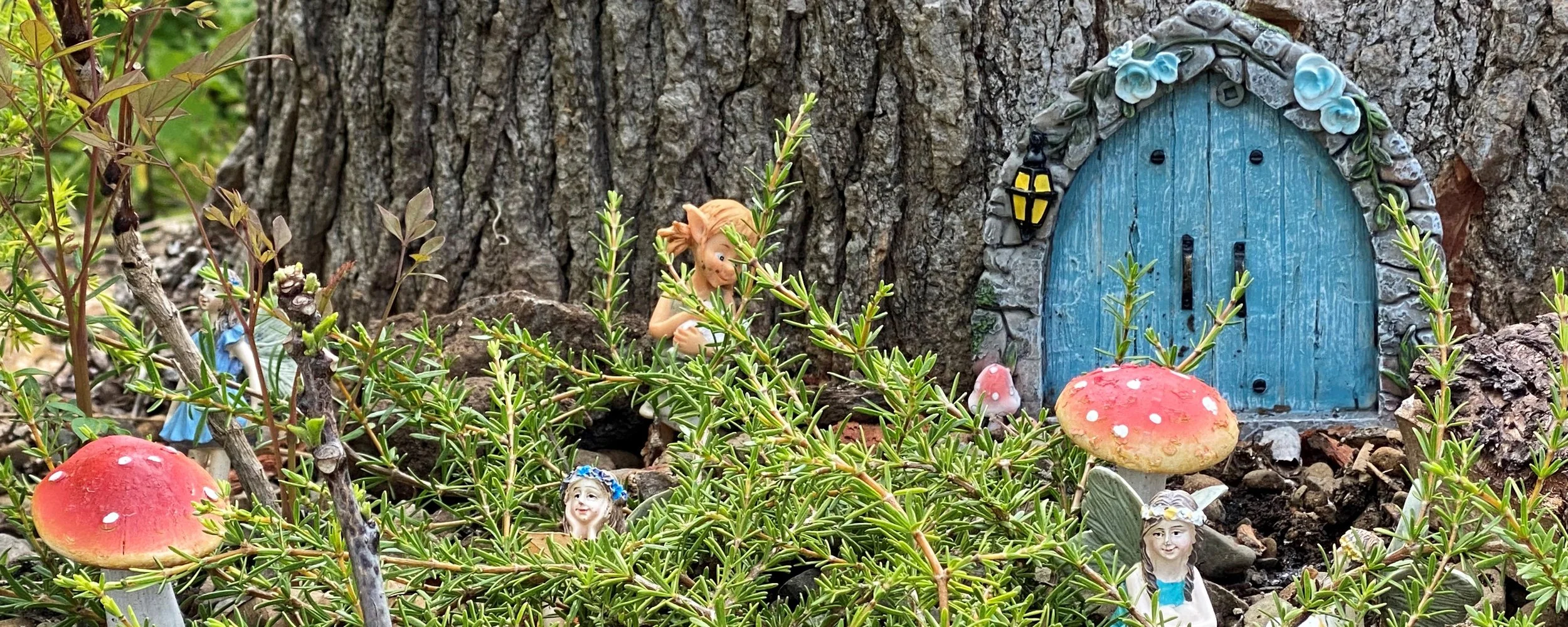 fairy-house banner copy.jpg
