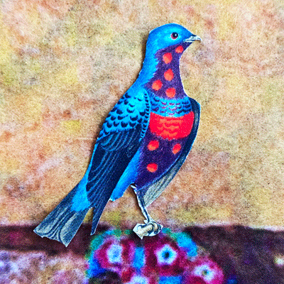 A bird image created by Helen Sword for her Pleasure Catalyst 6-week online course.