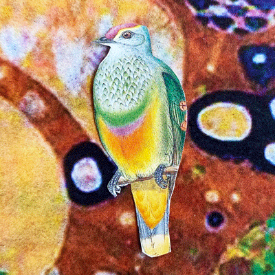 A bird image created by Helen Sword for her Pleasure Catalyst 6-week online course.