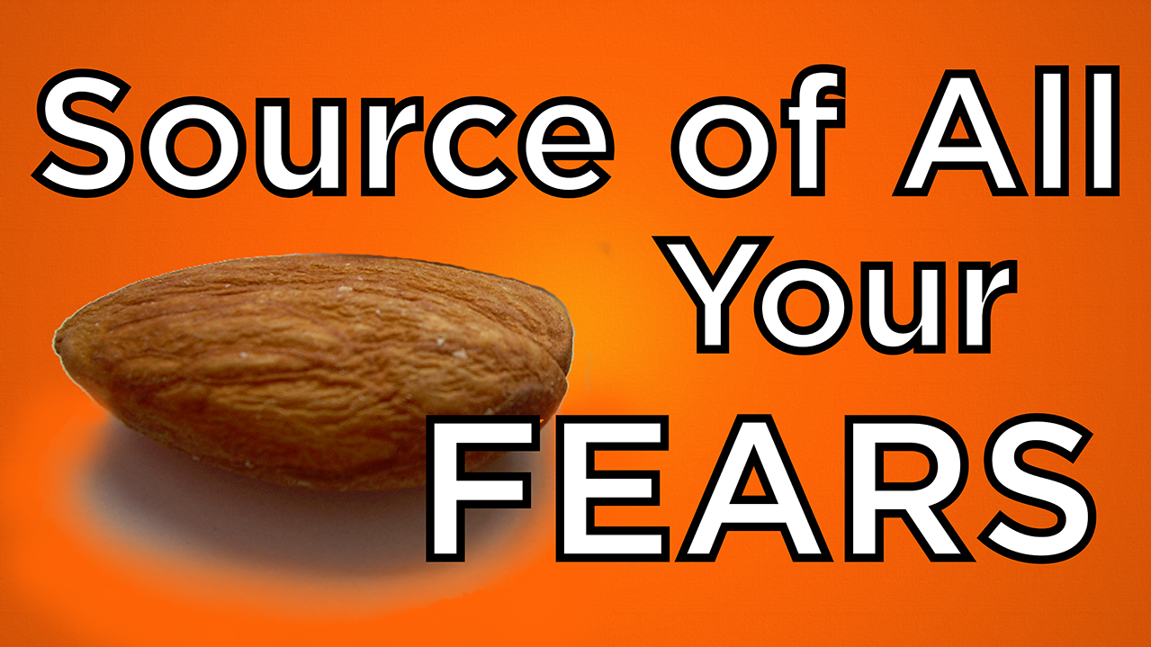 010 amygdala thumbnail final.png