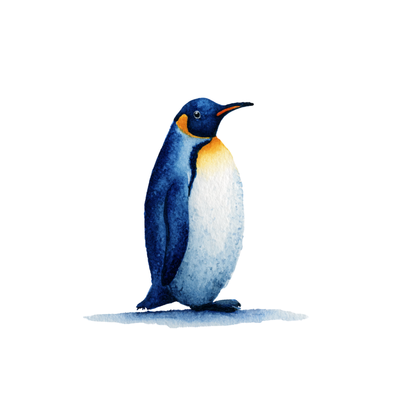 Penguin