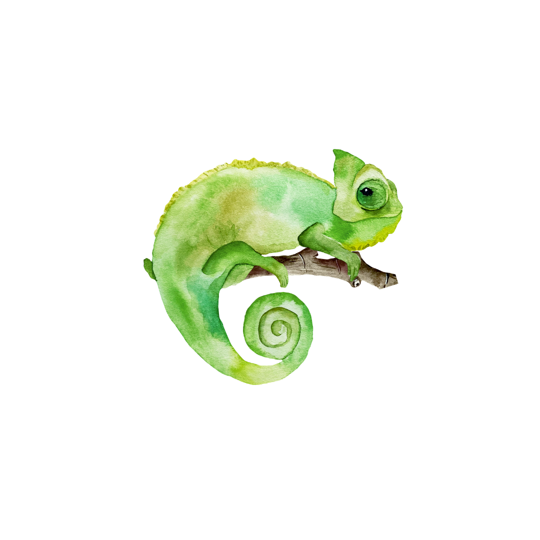 Camaleon