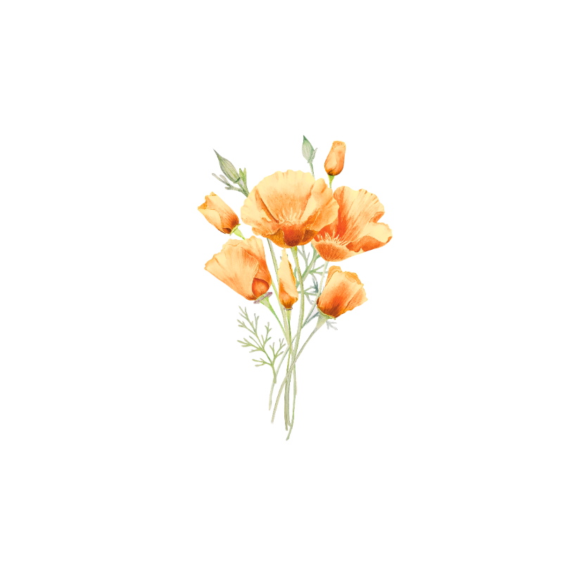 Poppy