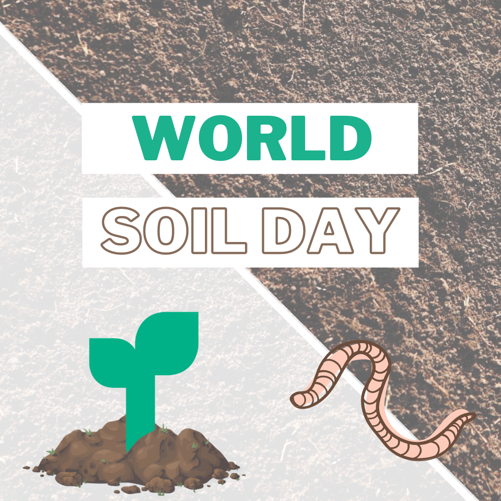 Happy Soil Day!.png