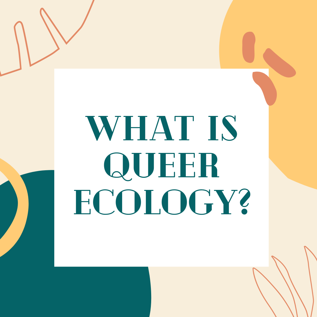 What is queer ecology_.png