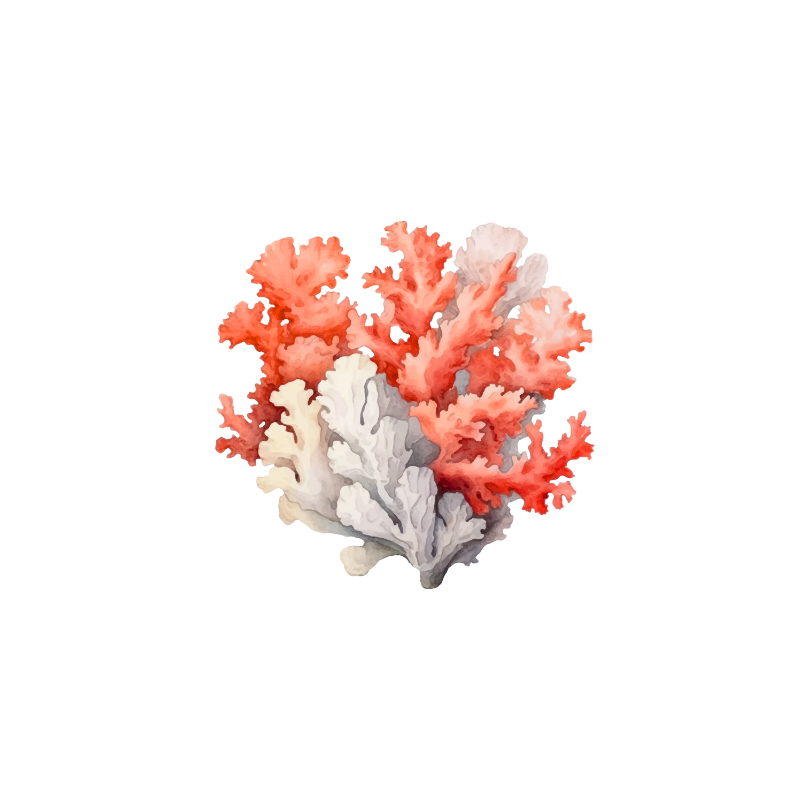 Coral