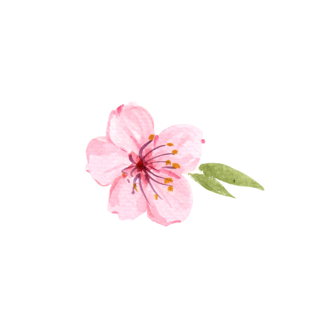 Blossom