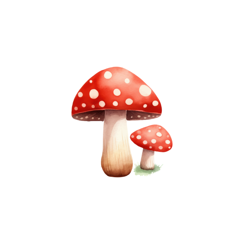 Fungus