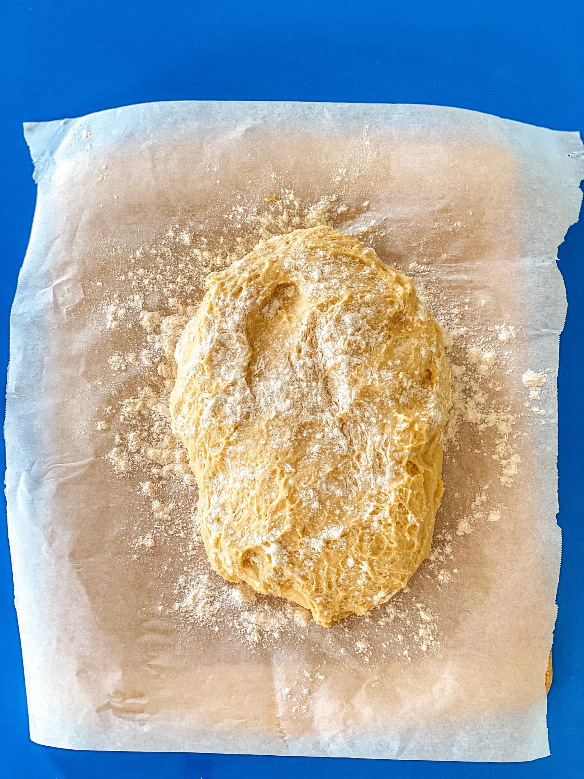 The Drunk Baker Chronicles: No Knead Brioche 