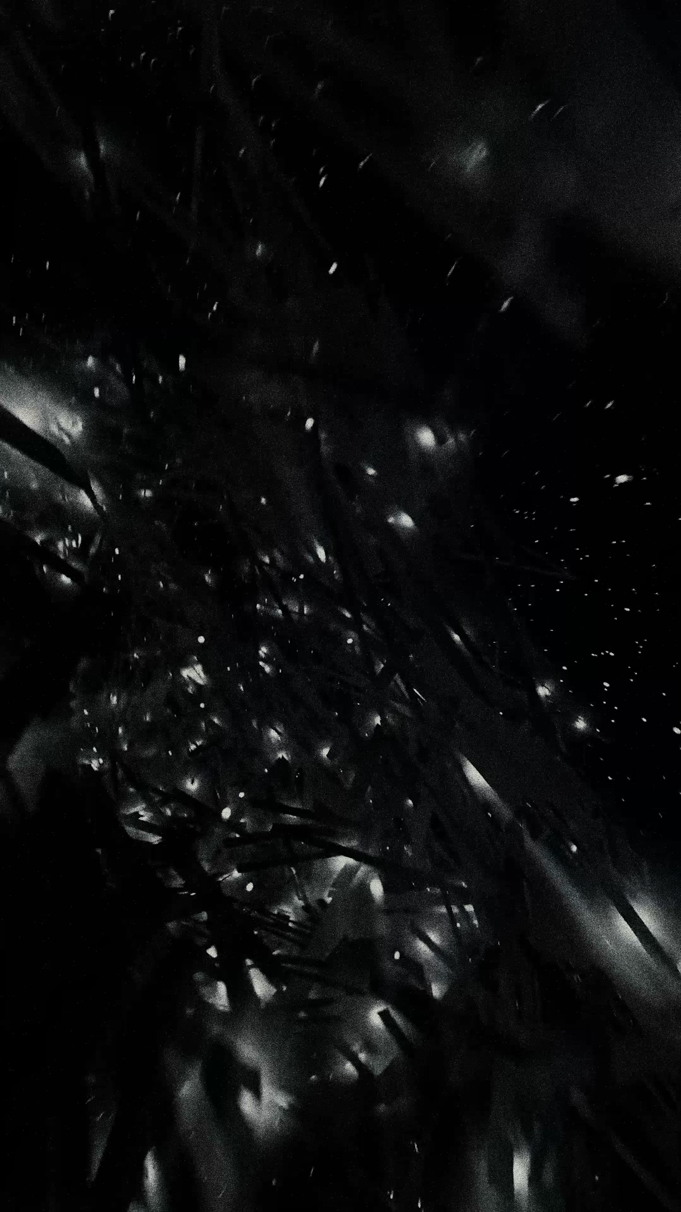 website background.png