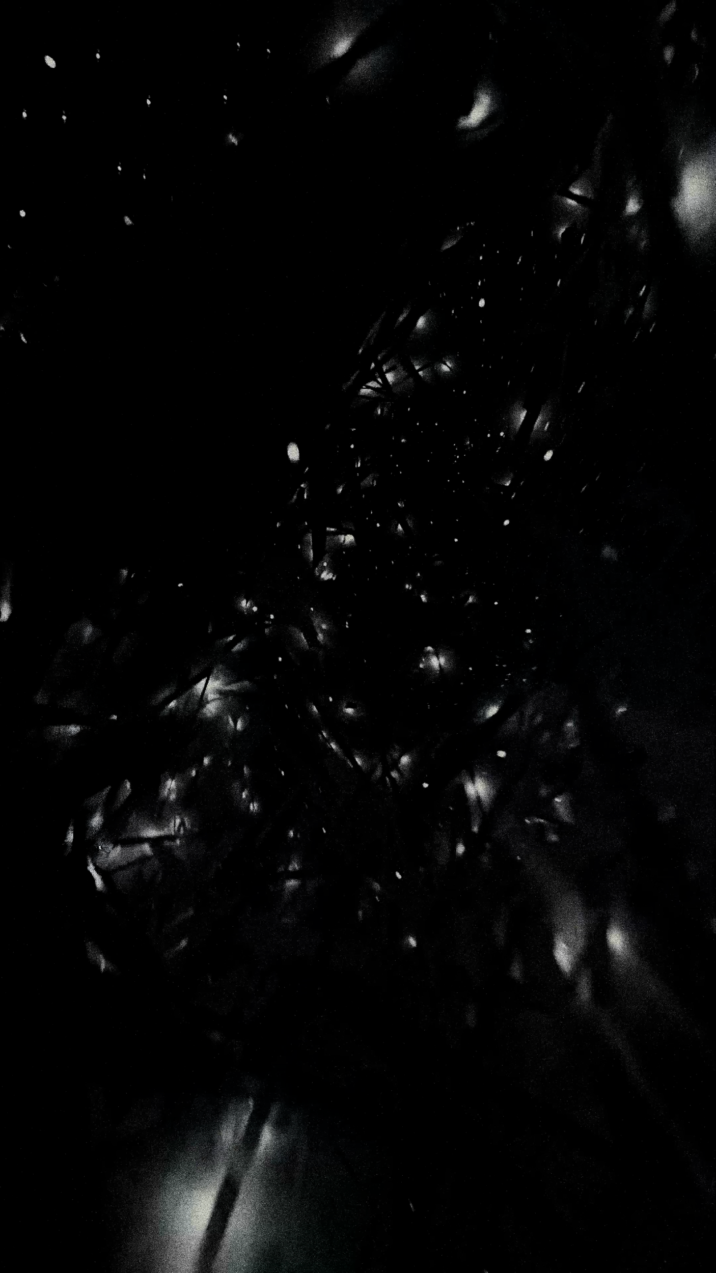 Website background 3.png