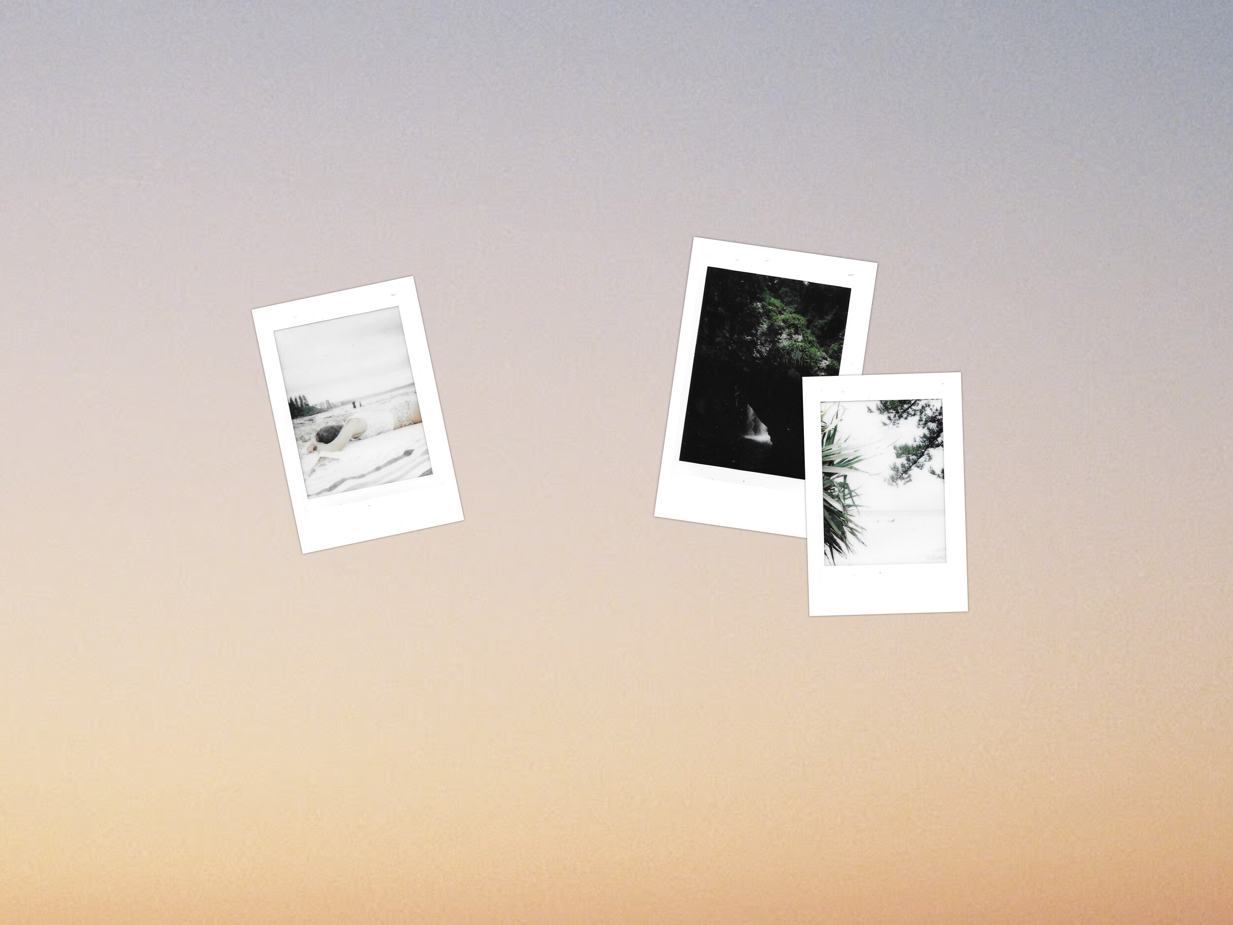 collage2.jpg