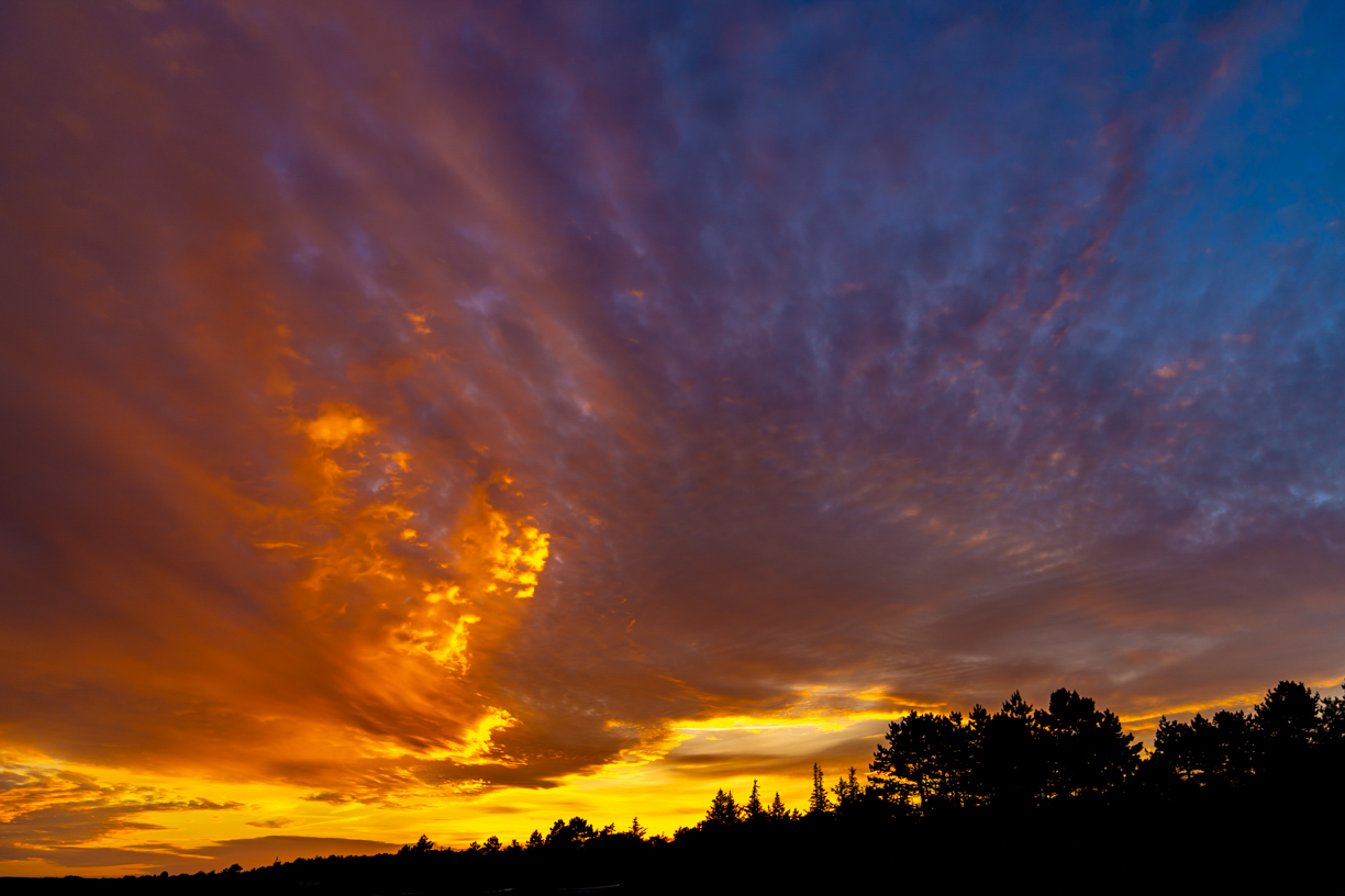 Djursland