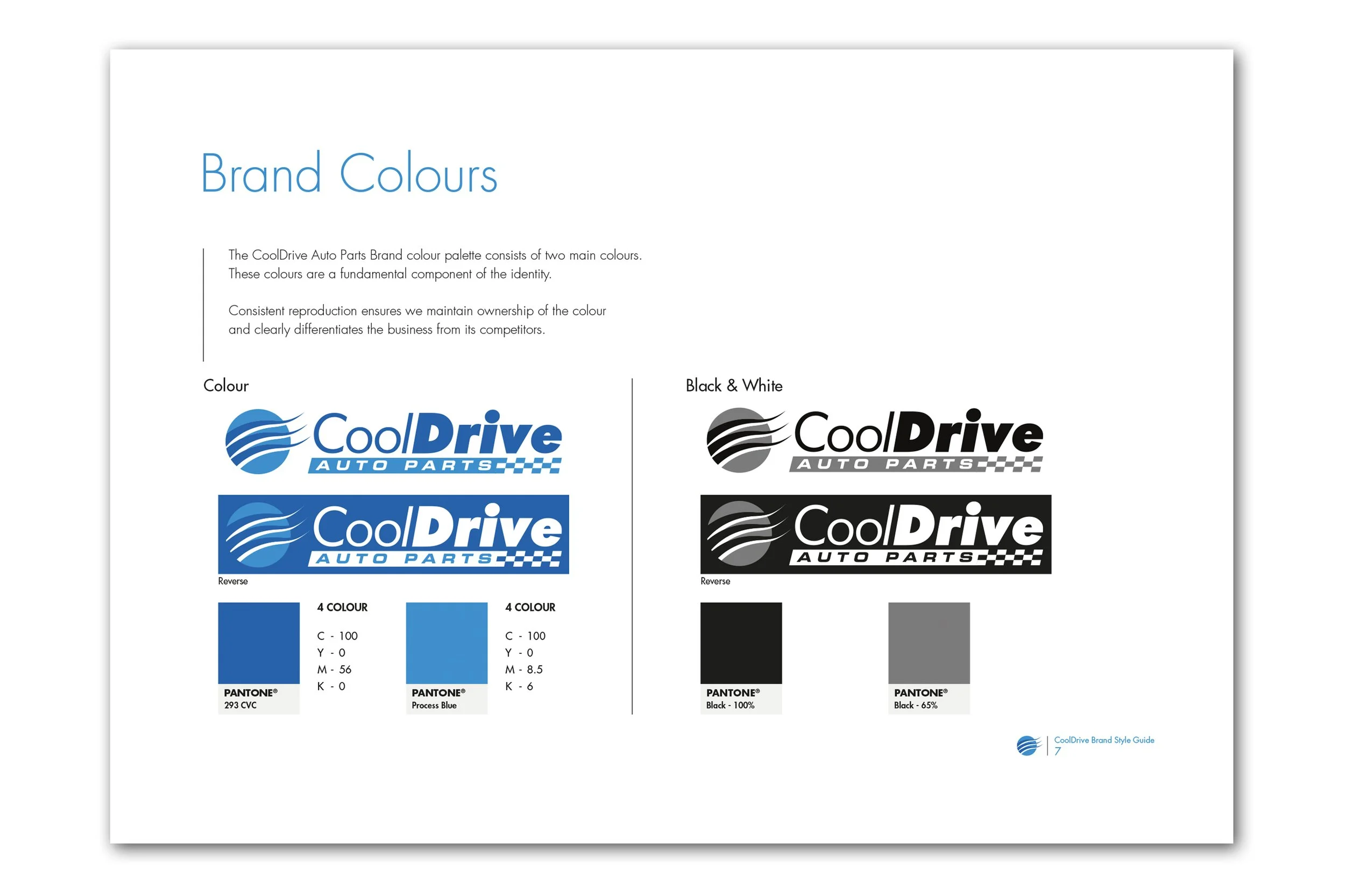 CDAP Style Guide 4.jpg