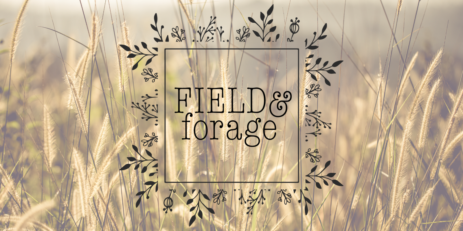 F&f (7).png