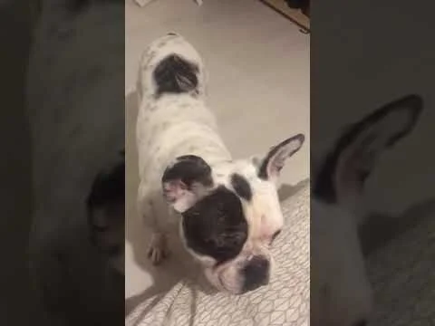 Leon m'enlève les chaussettes ^^