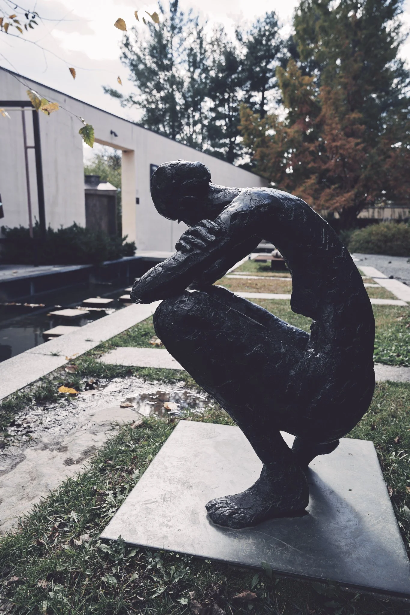 Ron Chau Photographer _A7V3876.jpg