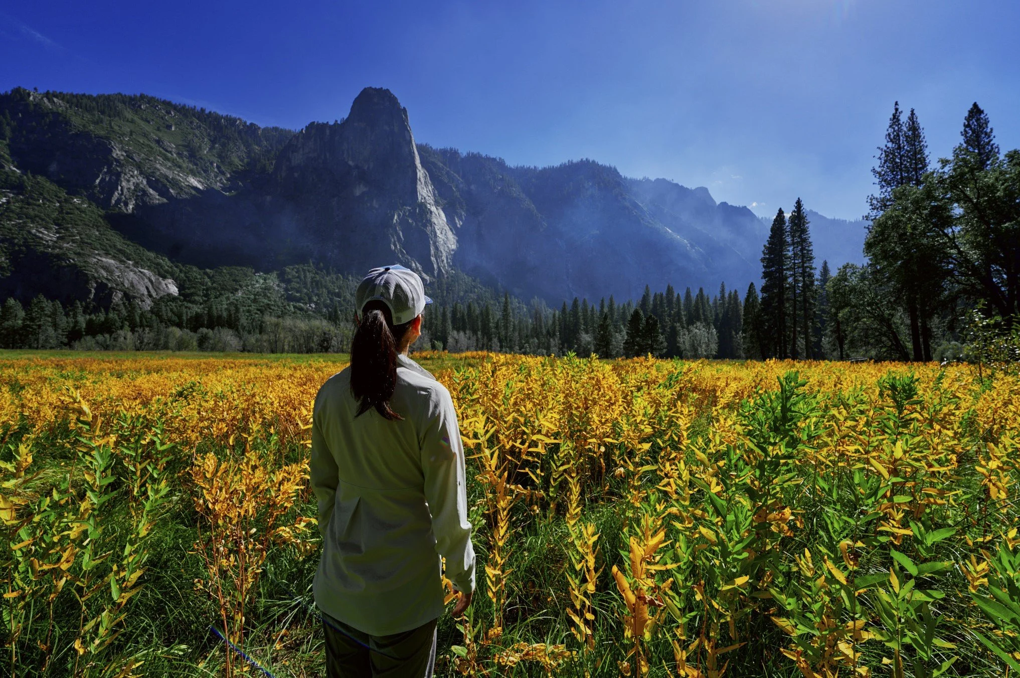 Ron Chau Photographer _A7V2730Retouched copy.jpg