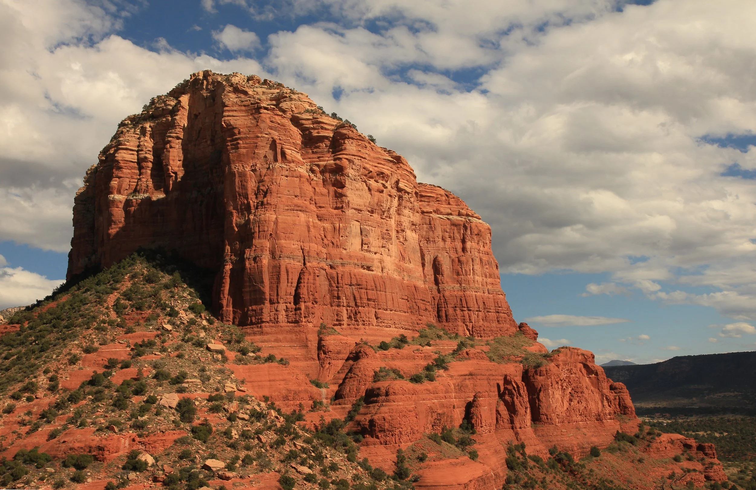 adj IMG_3299 copy.jpg