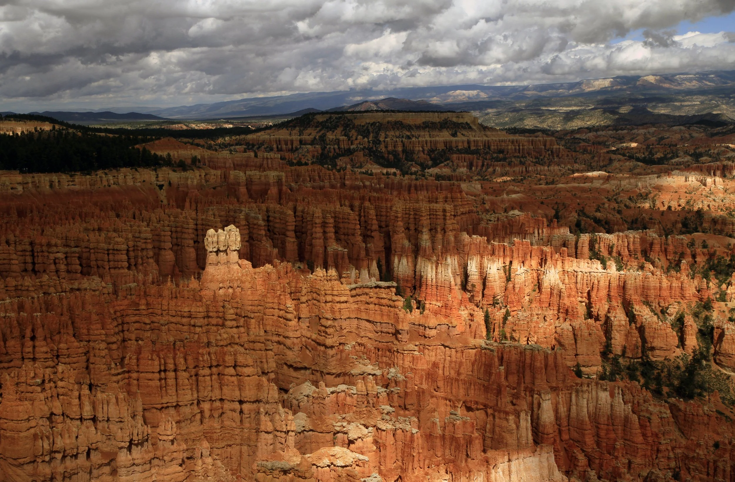 adj _MG_9561 copy.jpg