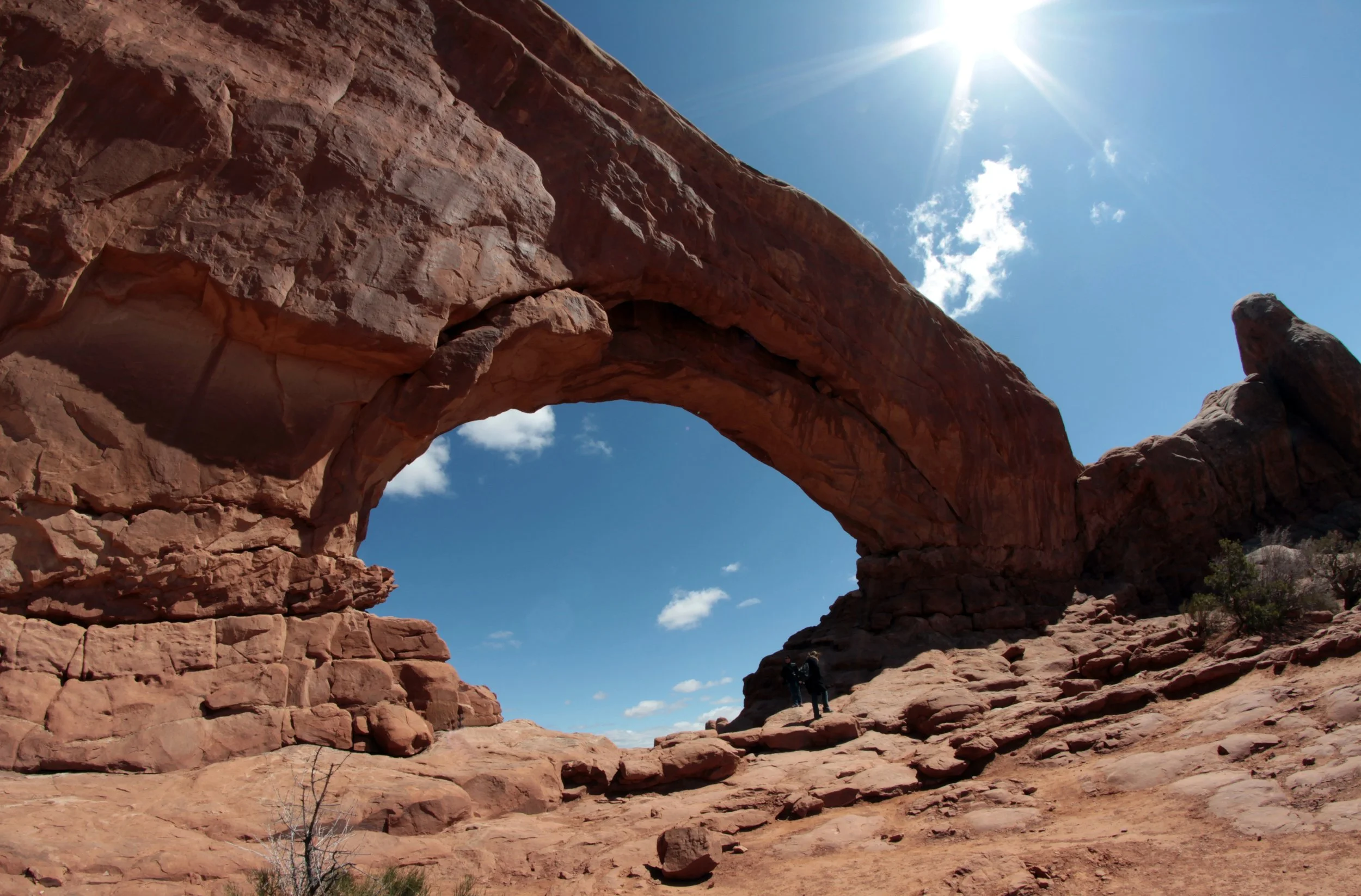 adjIMG_3354 rev2 copy.jpg