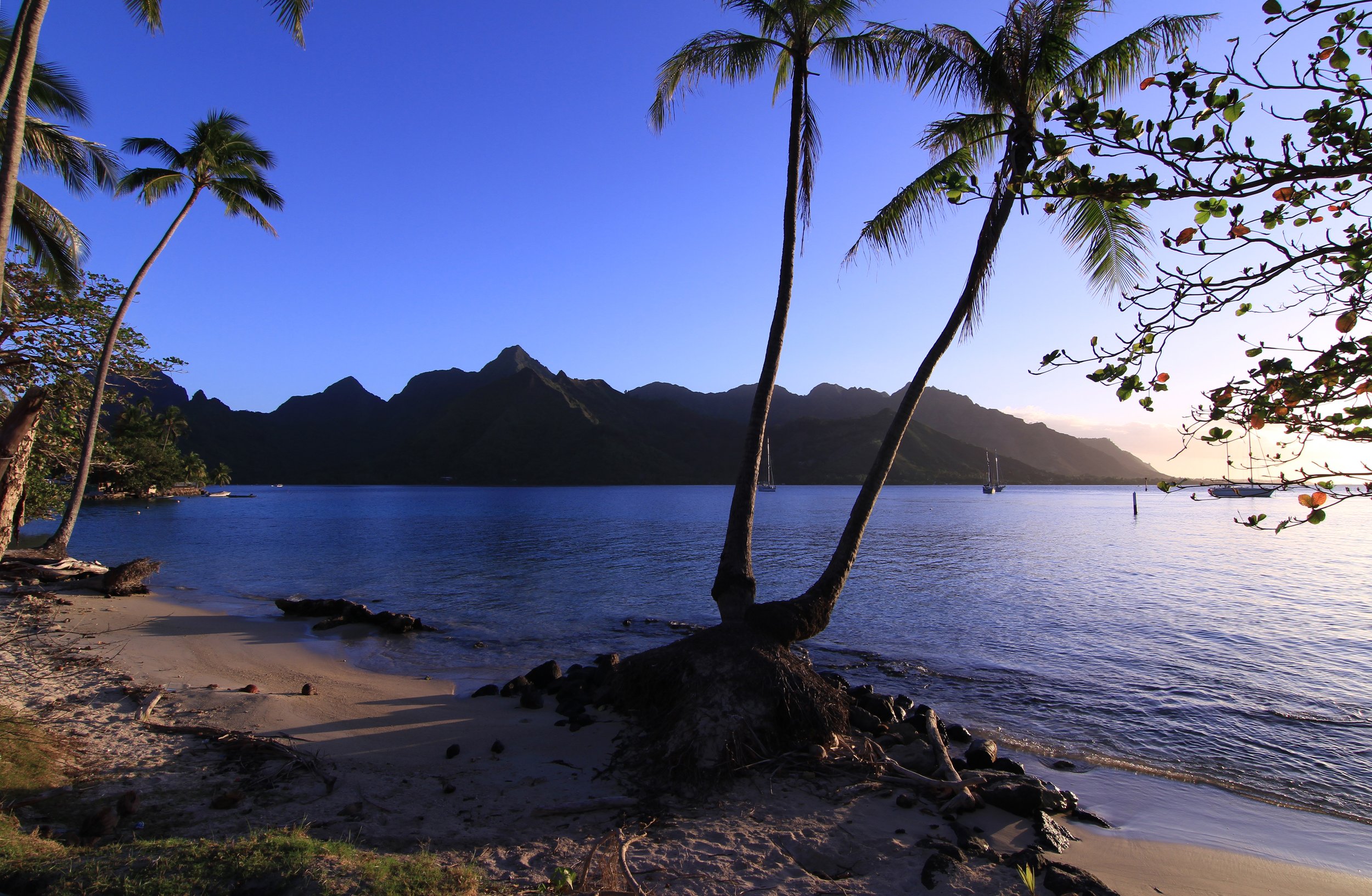 adj IMG_6486 copy.jpg