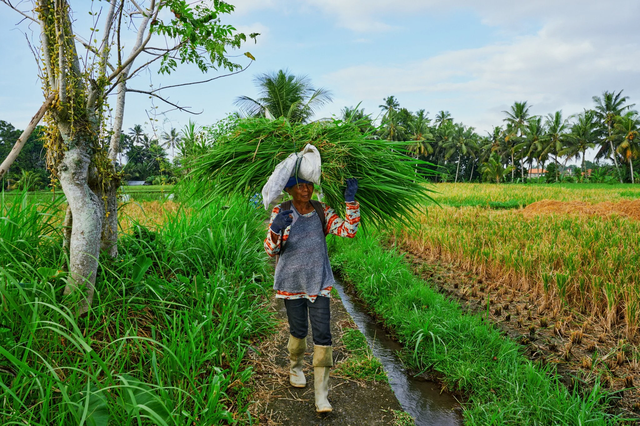 Ron Chau-May 20 2024-_A7V0997.jpg