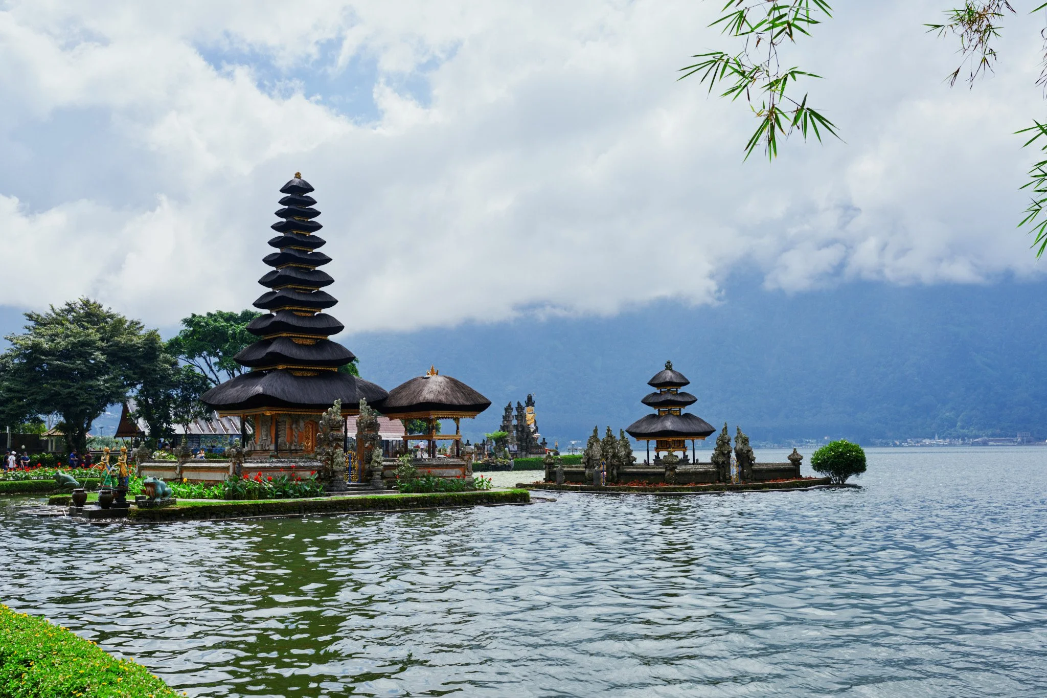 Ron Chau-May 21 2024-_A7V1122.jpg