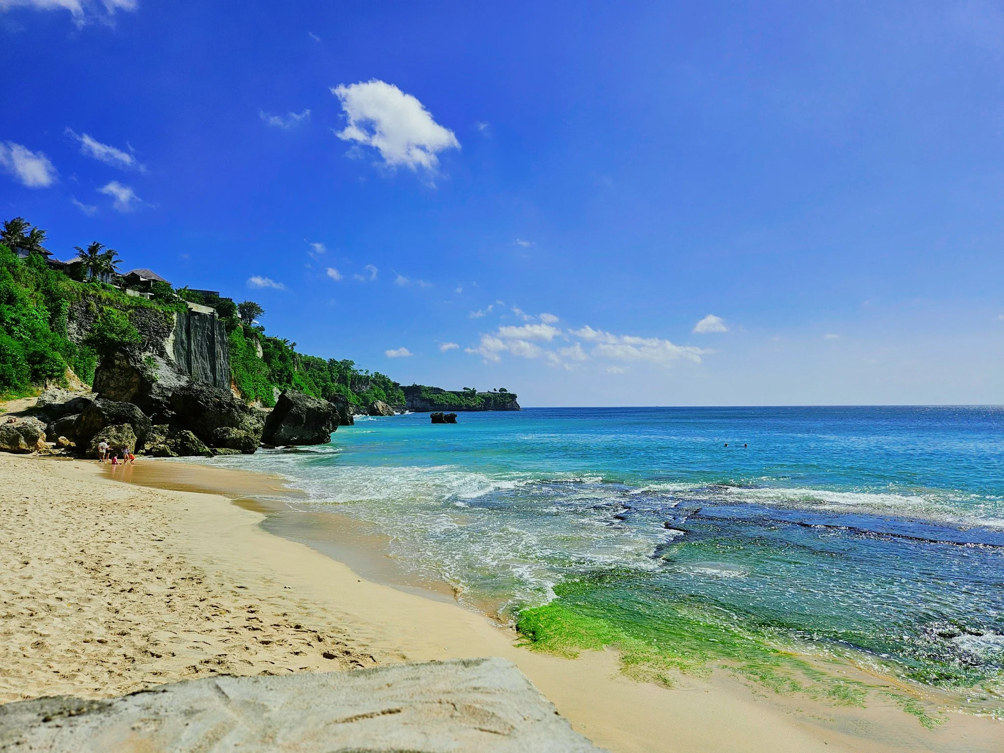 Ron Chau-May 17 2024-20240517_140647.jpg