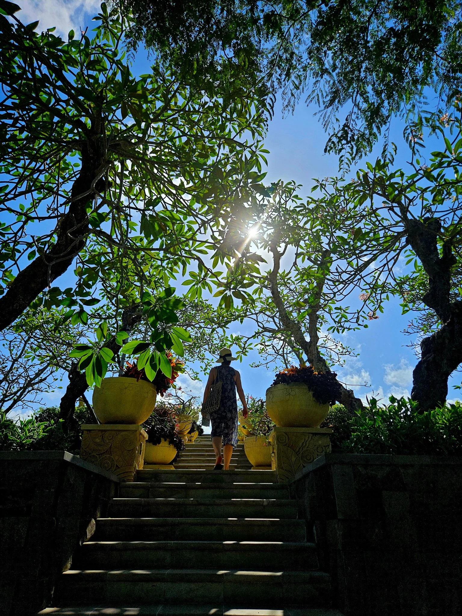 Ron Chau-May 17 2024-20240517_151416.jpg