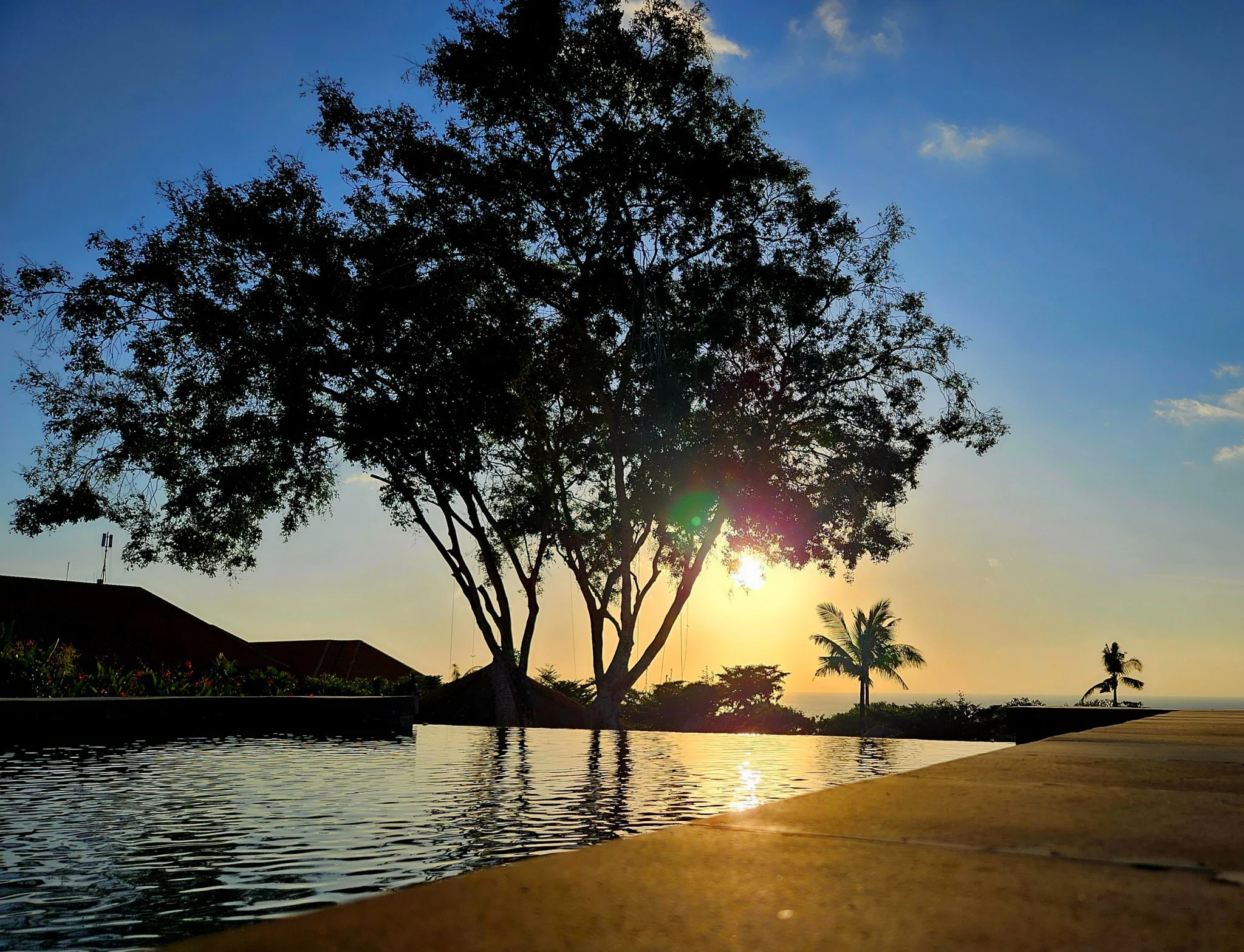 Ron Chau-May 18 2024-20240518_173534.jpg