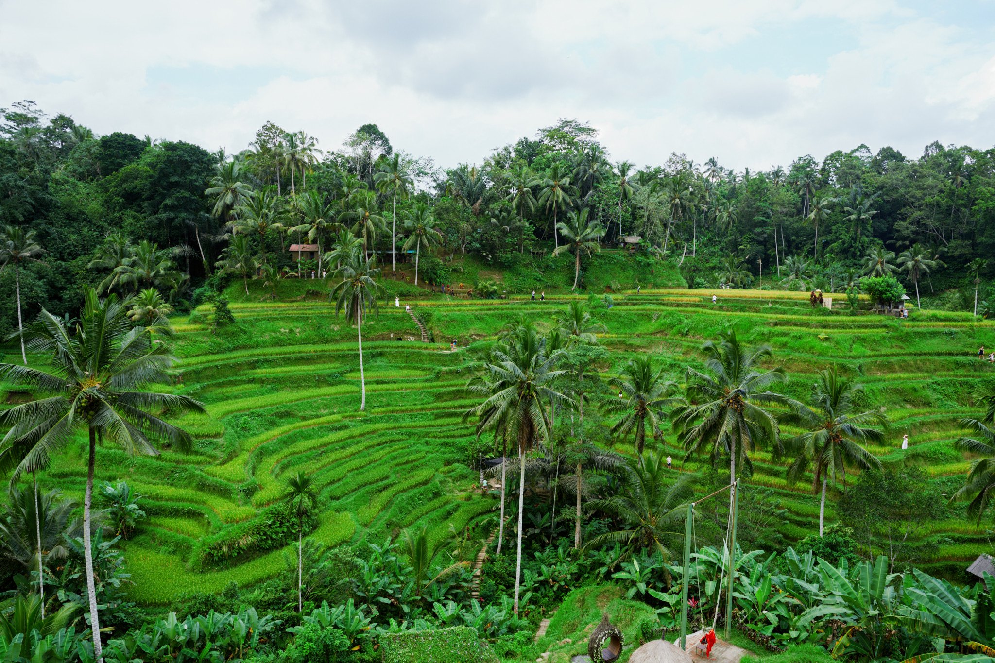 Ron Chau-May 20 2024-_A7V0926.jpg