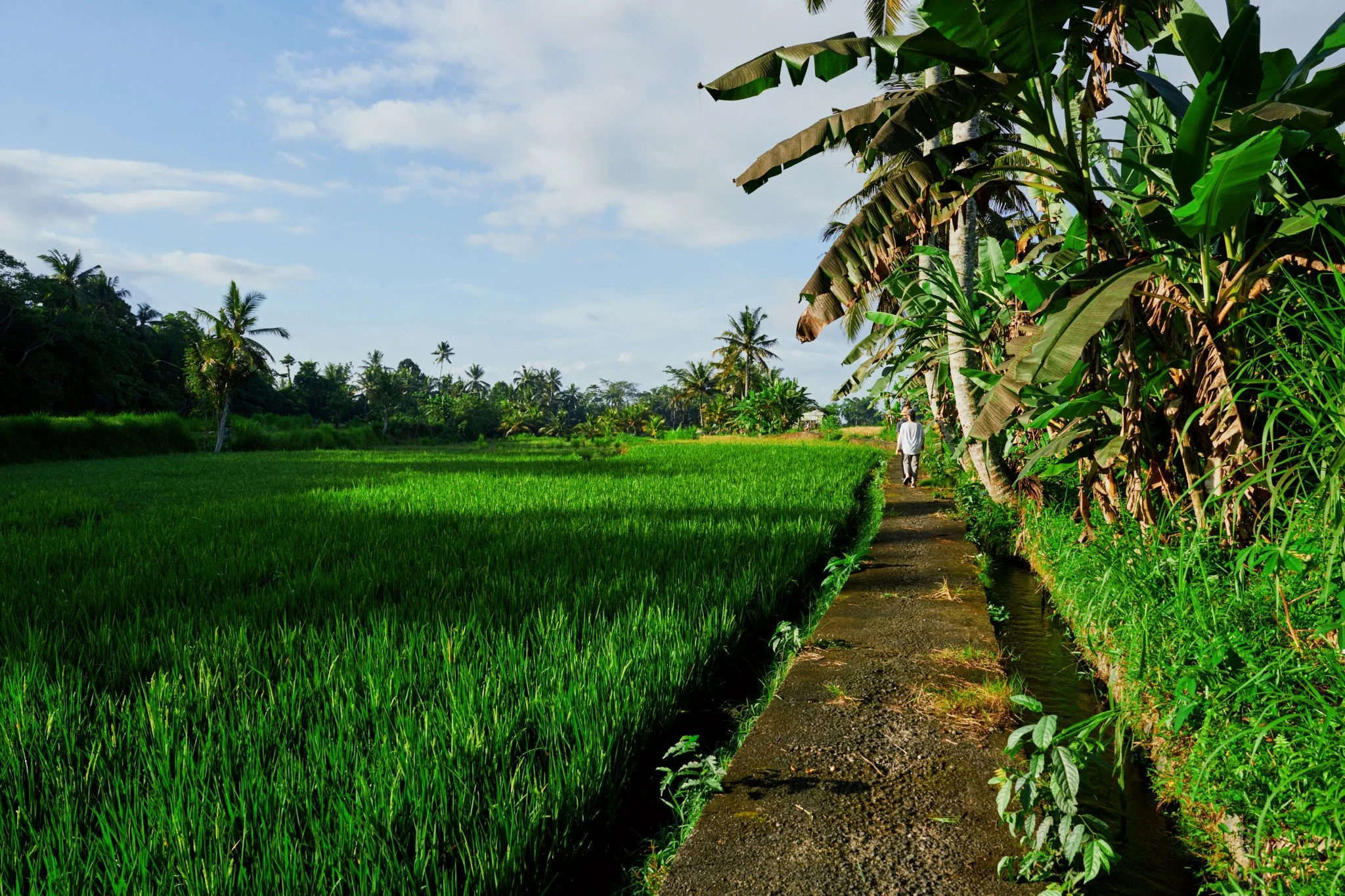 Ron Chau-May 20 2024-_A7V0972.jpg