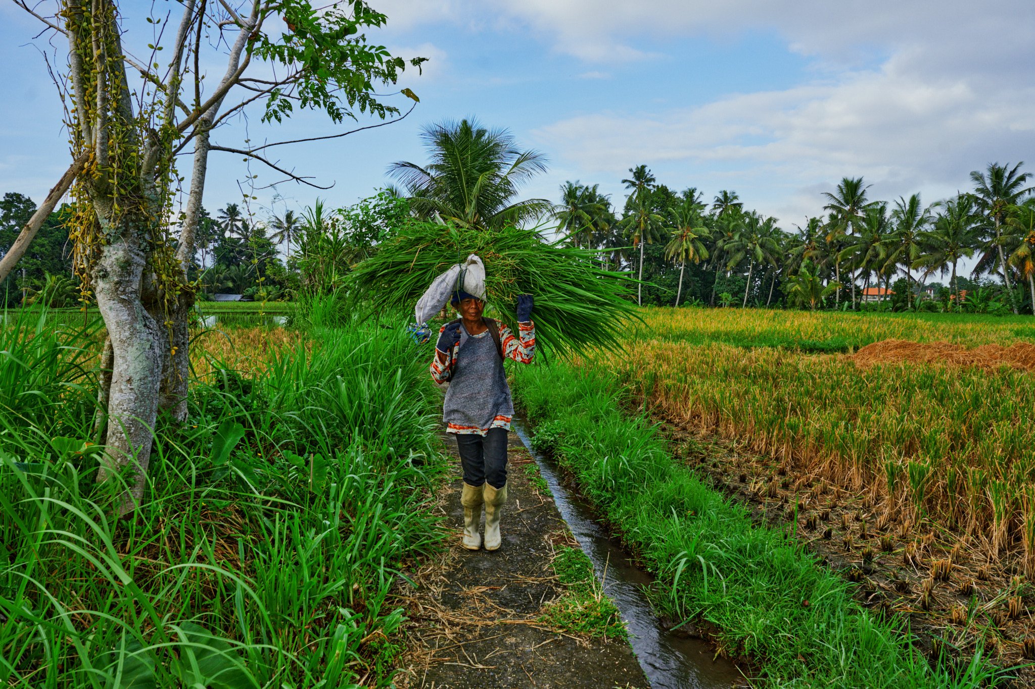 Ron Chau-May 20 2024-_A7V0996.jpg