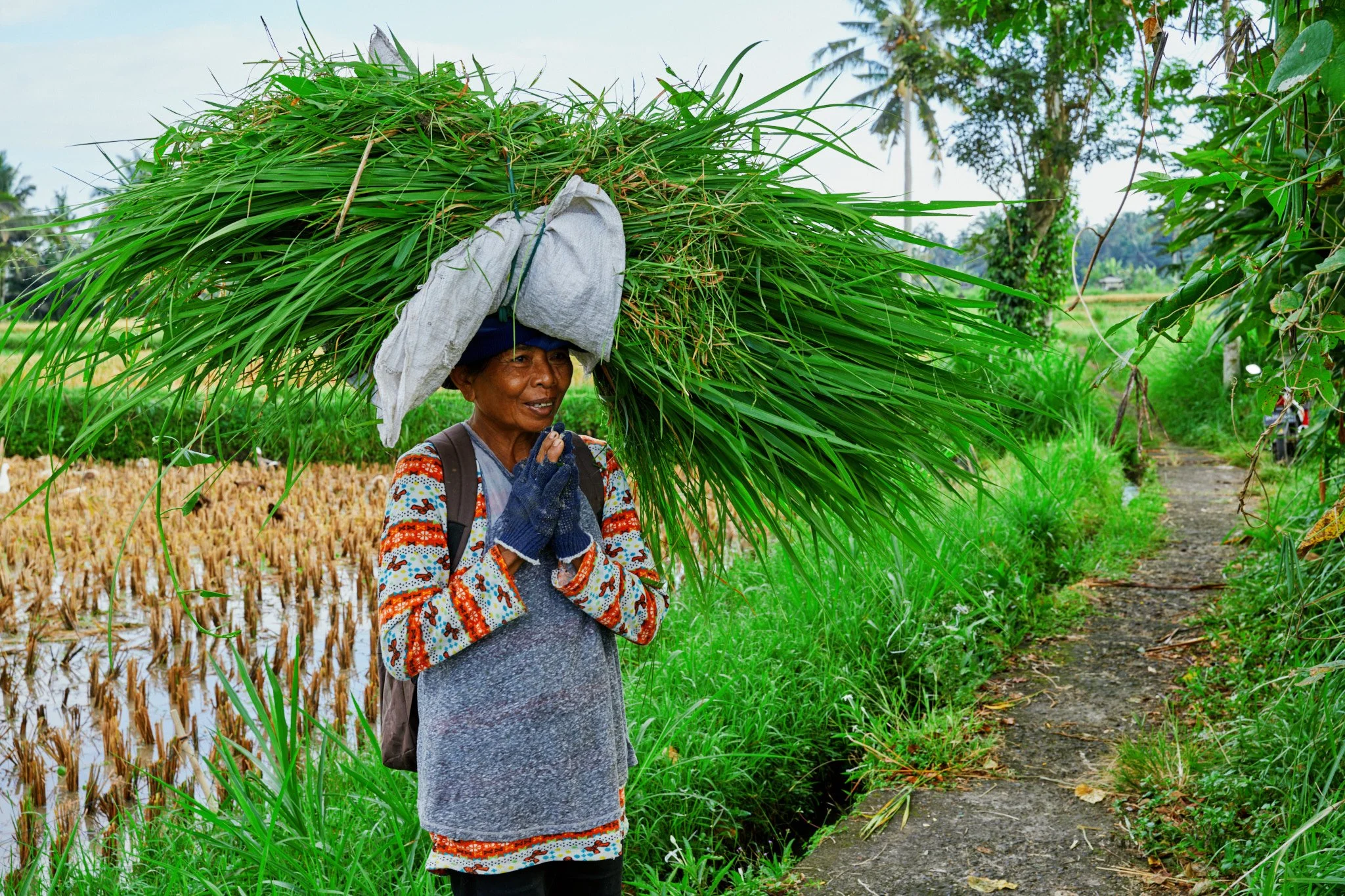 Ron Chau-May 20 2024-_A7V1001 1.jpg