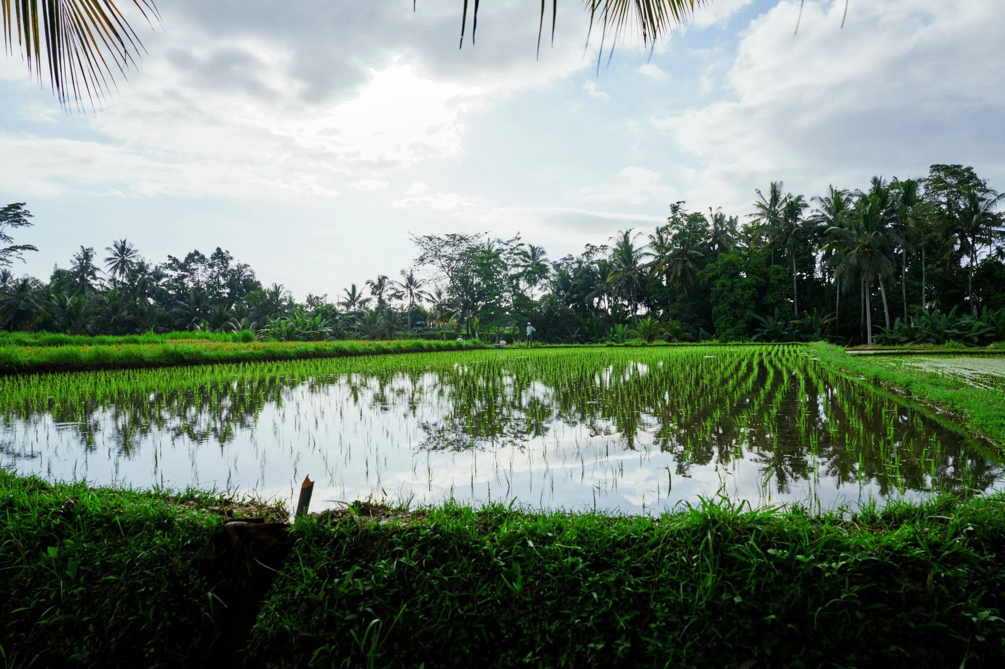 Ron Chau-May 20 2024-_A7V1013.jpg