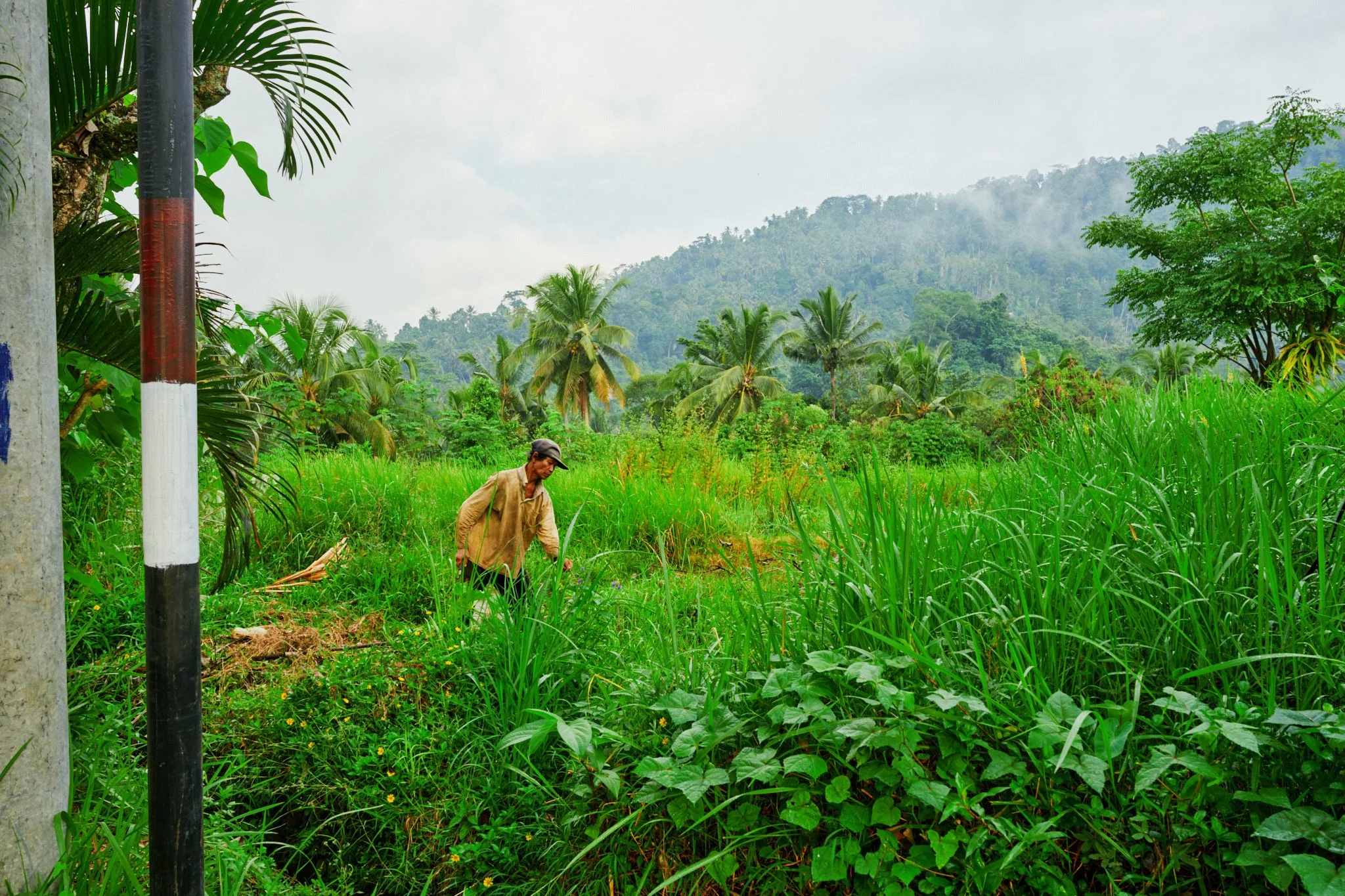 Ron Chau-May 24 2024-_A7V1503.jpg