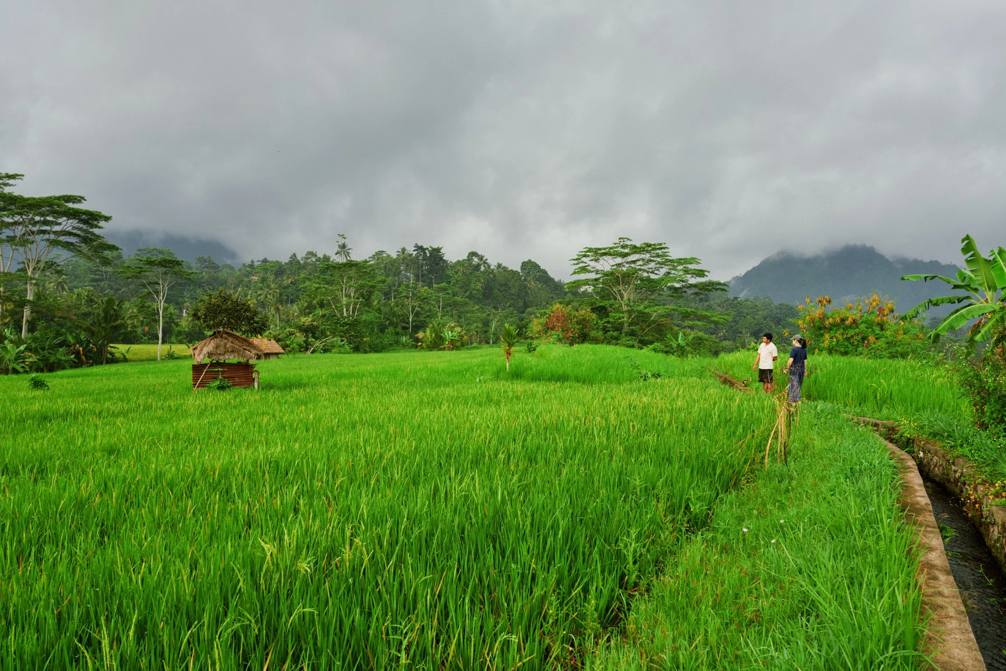 Ron Chau-May 24 2024-_A7V1512.jpg