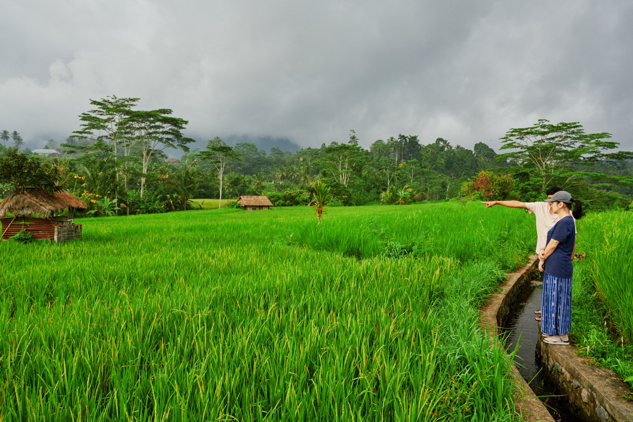 Ron Chau-May 24 2024-_A7V1513.jpg