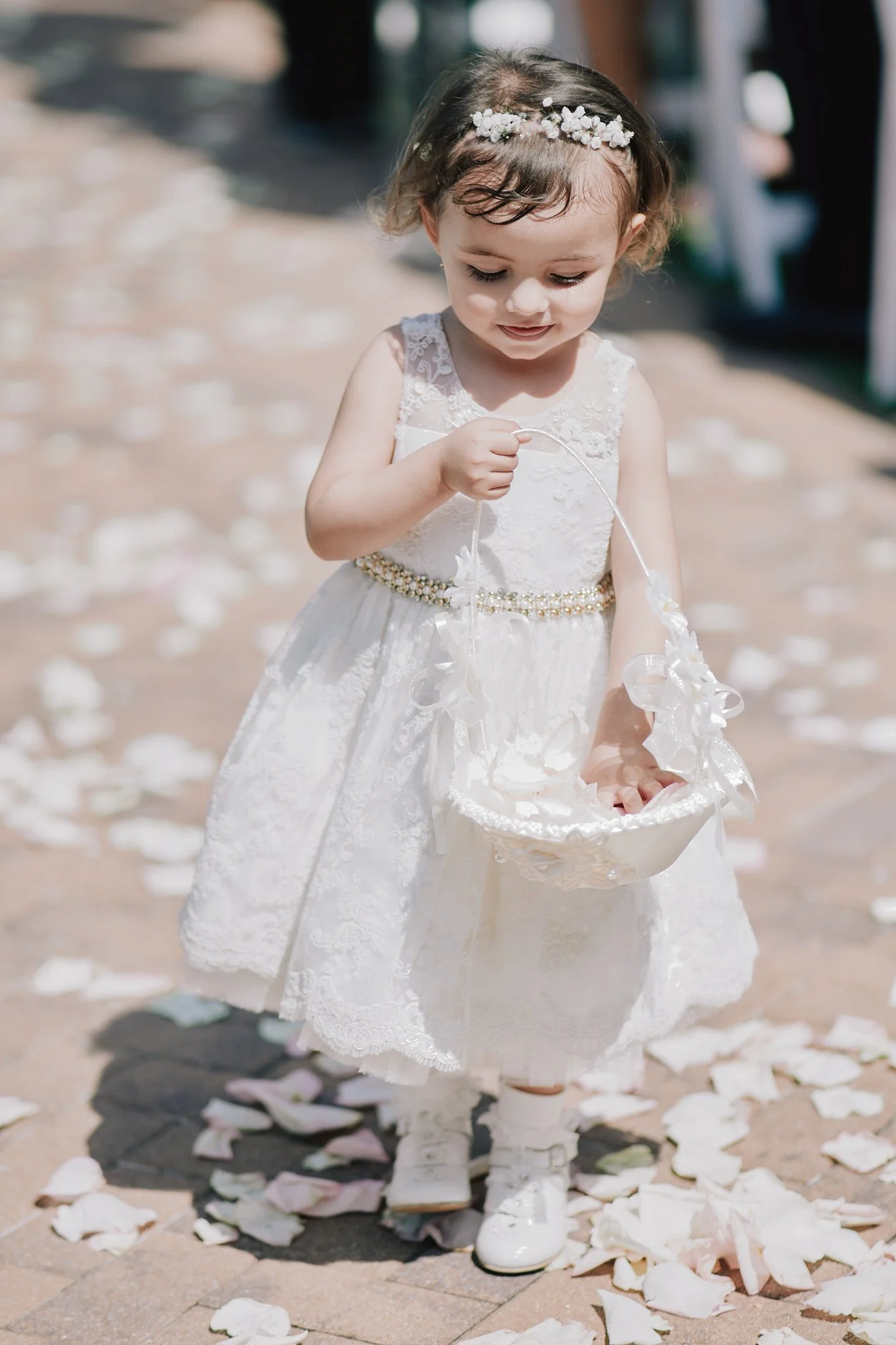 Ron Chau-Aug 24 2024-14.jpg