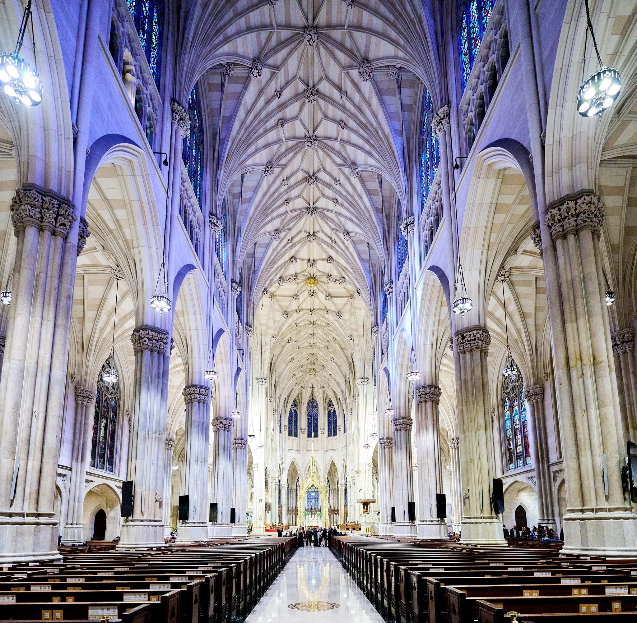 Ron Chau-Nov 09 2024-34.jpg